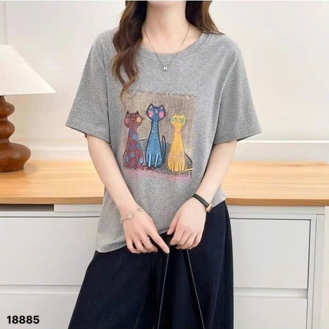 S-20--18885- A.3 Meo- 00260