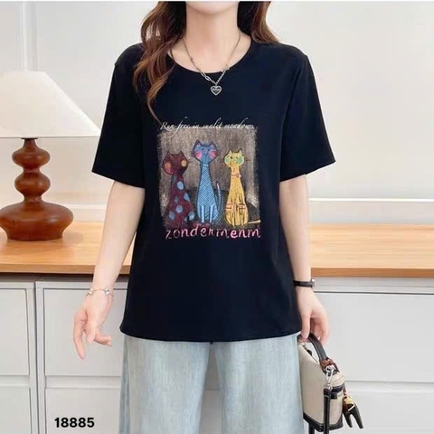 S-20--18885- A.3 Meo- 00260