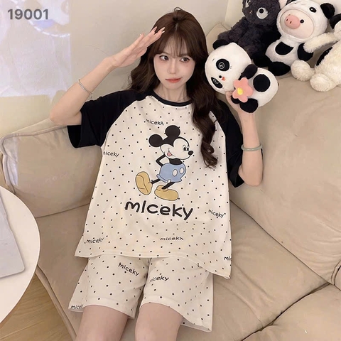 S-20--19001- SS.Micky 00188