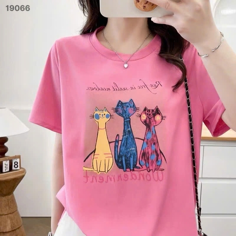 S-30--19066- Ao4. 3 Meo- 00252