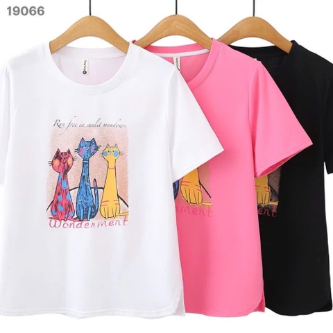 S-30--19066- Ao4. 3 Meo- 00252