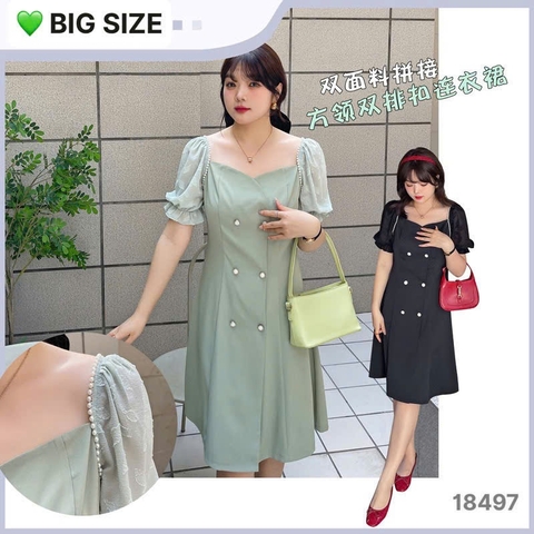 18497 S-0020- Đầm CJ 6 nút 00360