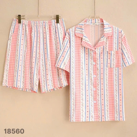 S-0020- 18560- SS.Pi  Sọc 00388