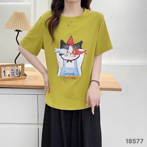 S-0020--18577- A.Ca- 00248