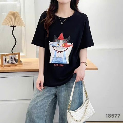 S-0020--18577- A.Ca- 00248