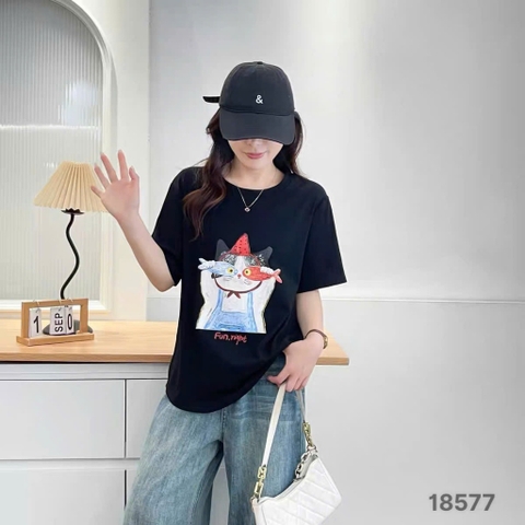 S-0020--18577- A.Ca- 00248