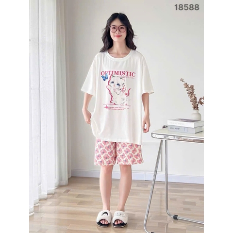 S-0020--18588- SS.Meo 00388