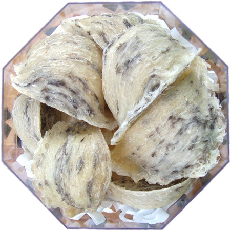 tổ yến thô ít lông