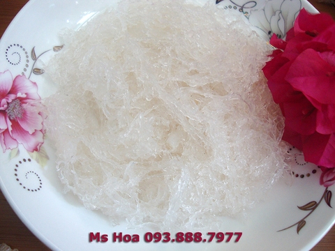 yến tươi là gì