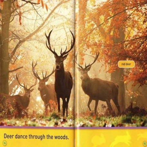 [FULL 26 BOOKS] Sách nhập – National Geographic Kids – Pre-reader (26quyển + File nghe Mp3)