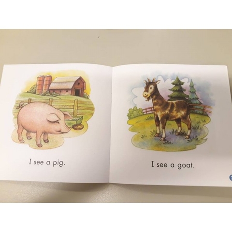 Sight word readers (26 quyển +CD)