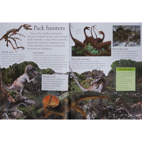 Eye Wonder (15 quyển) –  Sách nhập