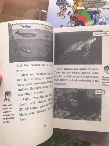 Magic Tree House Fact Tracker (Sách nhập) – Bộ 40 quyển