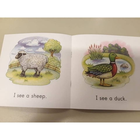 Sight word readers (26 quyển +CD)