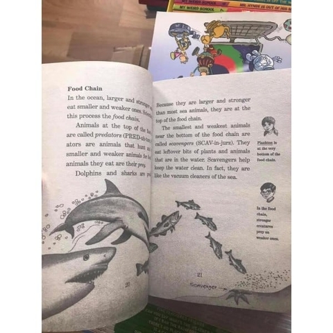 Magic Tree House Fact Tracker (Sách nhập) – Bộ 40 quyển