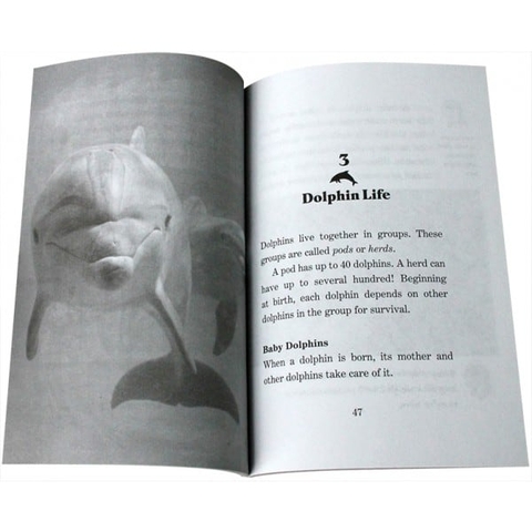 Magic Tree House Fact Tracker (Sách nhập) – Bộ 40 quyển