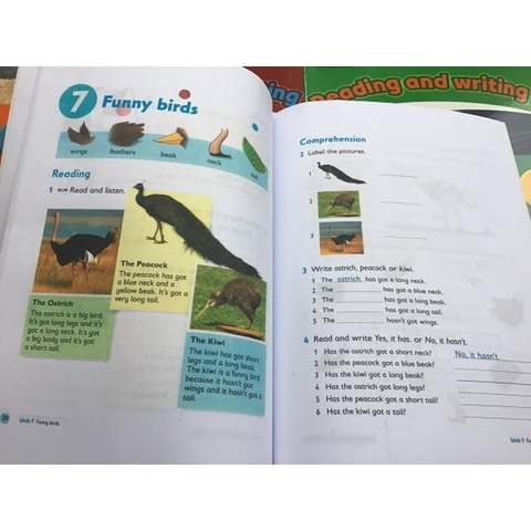 Oxford Primary Skills Reading and Writing – 6 quyển+ File nghe +Key