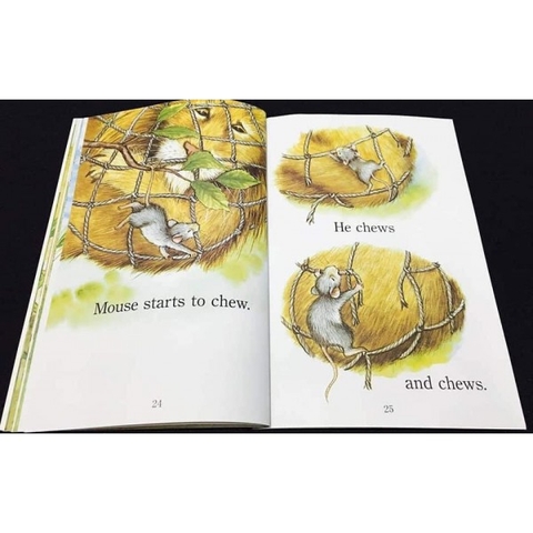 Sách nhập – Step Into Reading 1 (30 books + File Mp3)