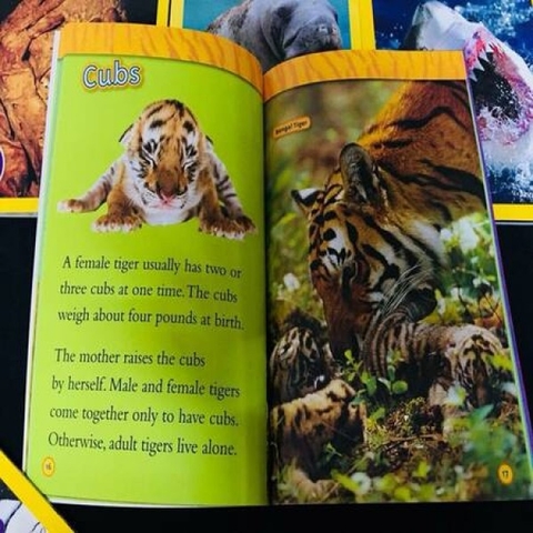 National Geographic Kids – Level 2 (36 quyển + File nghe Mp3)