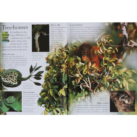 Eye Wonder (15 quyển) –  Sách nhập