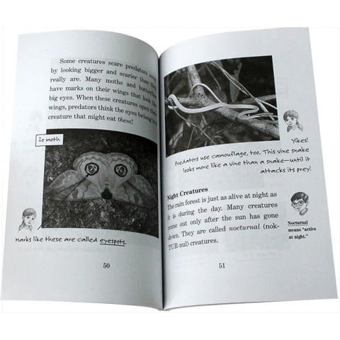 Magic Tree House Fact Tracker (Sách nhập) – Bộ 40 quyển