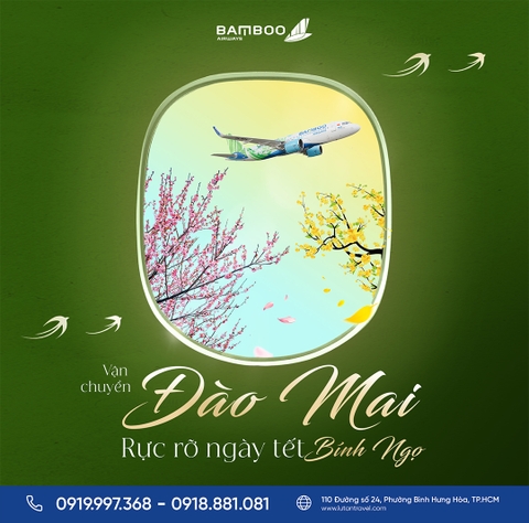 Dịch Vụ Vận Chuyển Mai Đào Bamboo Airways Tết Bính Ngọ 2026