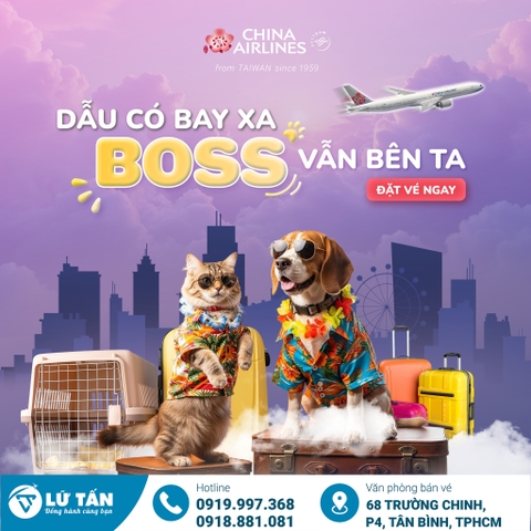 China Airlines 2025: Dịch vụ vận chuyển thú cưng an toàn, chu đáo