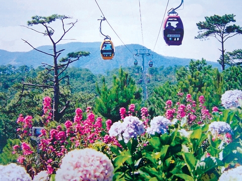 Nên đi du lịch Đà Lạt vào mùa nào?