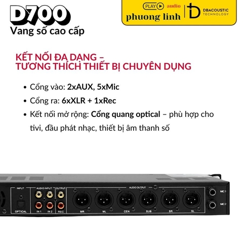 Vang số DBacoustic D700