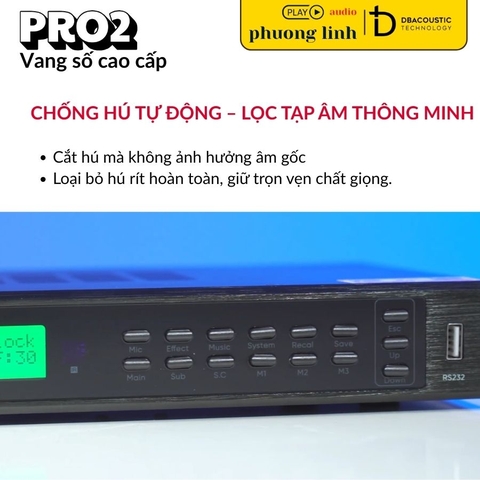 Vang Số DBacoustic PRO2