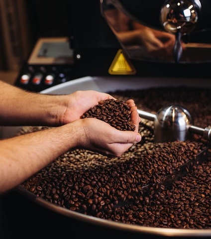 Danh Sách Top Nhà Rang Cà Phê Trẻ Được Ưa Thích Tại Việt Nam ( Top Young Favorite Coffee Roasters in Vietnam)