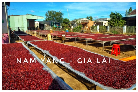 Fine Robusta Gia Lai Nam Yang Whisky Barrels Aged - Stupiducks Specialty Coffee