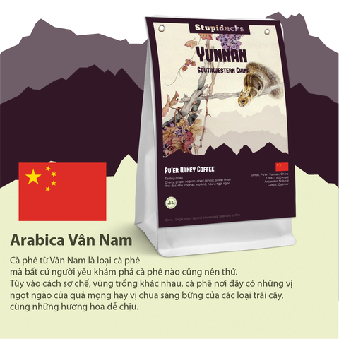 Arabica Phổ Nhĩ Vân Nam Trung Quốc Winey Natural - Stupiducks Specialty Coffee