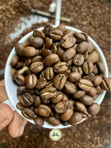 Arabica Indonesia Gayo Fully Washed G1 - Stupiducks Specialty Coffee