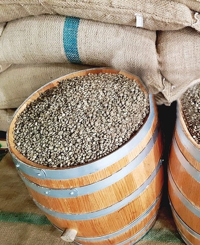 Arabica Việt Nam Cầu Đất Đà Lạt whisky barrels aged - Stupiducks Specialty Coffee