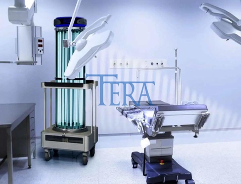 Những lợi ích của tia UV đối với cuộc sống