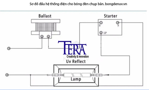 Bóng đèn UV chụp bản 270mm