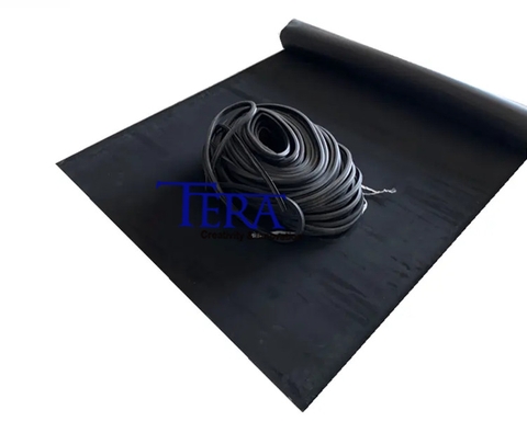 Tấm cao su và Ron cao su cho máy chụp bản UV