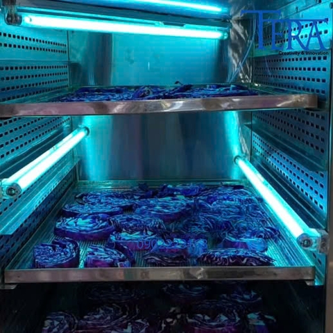 Bóng đèn UV diệt khuẩn chính hãng Philips