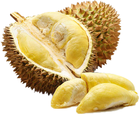 SẦU RIÊNG
