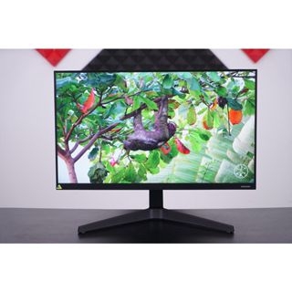 Màn Hình SAMSUNG LF24T350 Tràn Viền 24inch (LF24T350FHEXXV)