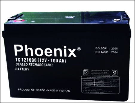 ẮC QUY PHOENIX 12V - 100AH TS121000