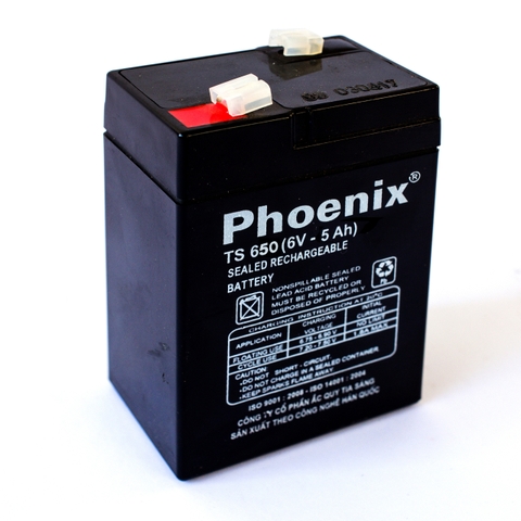 ẮC QUY PHOENIX 6V - 5AH TS650