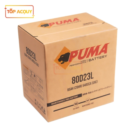 BÌNH ẮC QUY PUMA 12V 65AH 80D23L