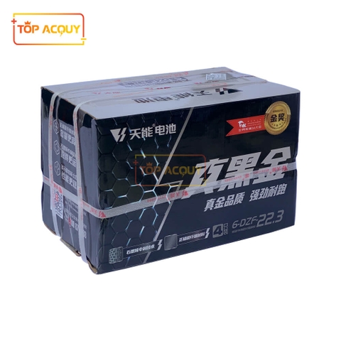 ẮC QUY XE MÁY ĐIỆN THIÊN NĂNG (TIANNENG) 12V - 22.3AH 6-DZF-22.3