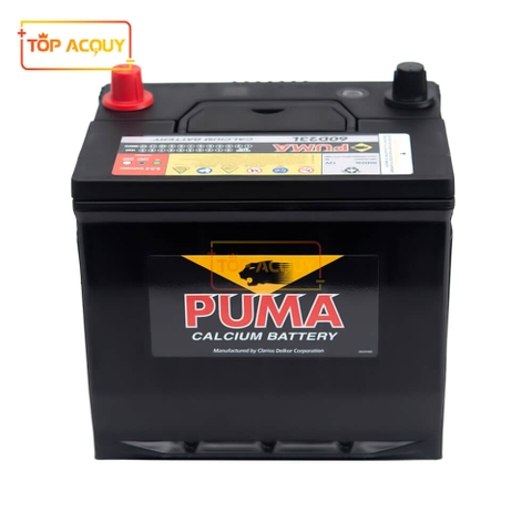 BÌNH ẮC QUY Ô TÔ PUMA 12V - 60AH 60D23L