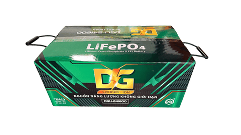 PIN LITHIUM-LFP ĐỨC GIANG 24V - 160AH DGLI-241600