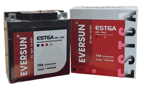 ẮC QUY EVERSUN 12V - 6AH TSM1260H