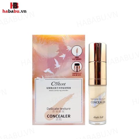 Kem che khuyết điểm Delicate Texture Concealer 2 Đầu 18ml chính hãng