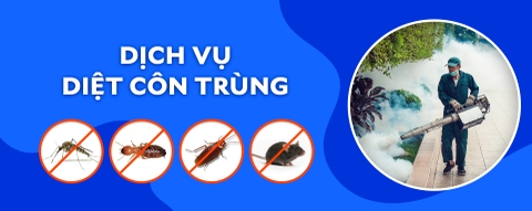 CÔNG TY CỔ PHẦN ĐÂU TƯ THƯƠNG MẠI & DỊCH VỤ MẶT TRỜI MỚI